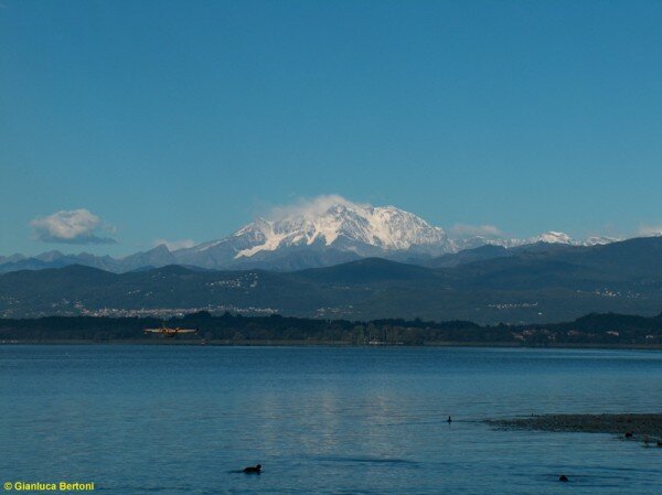 Clicca per vedere l\'immagine originale