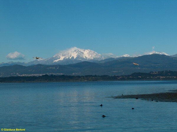 Clicca per vedere l\'immagine originale