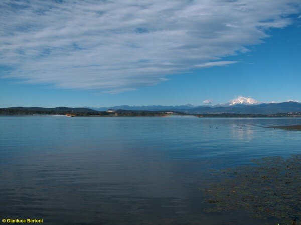 Clicca per vedere l\'immagine originale