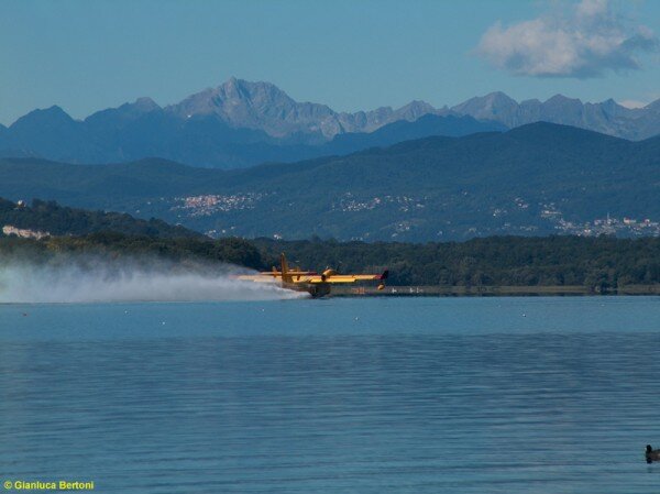 Clicca per vedere l\'immagine originale